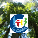 CONSTITUCIÓN ECOLÓGICA EDIT