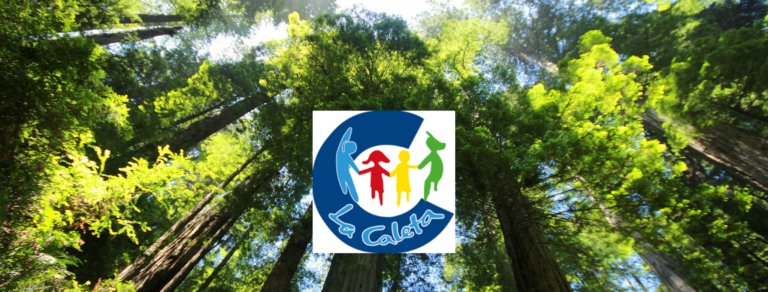 POR UNA CONSTITUCIÓN ECOLÓGICA!  APRUEBO CONVENCIÓN CONSTITUCIONAL! (VER VÍDEO)