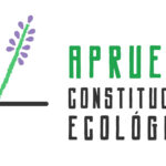 Apruebo-final-13-1-1968×984