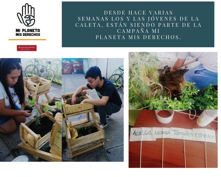 Compaña MI PLANETA MIS DERECHOS